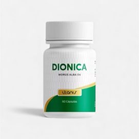 Dionica