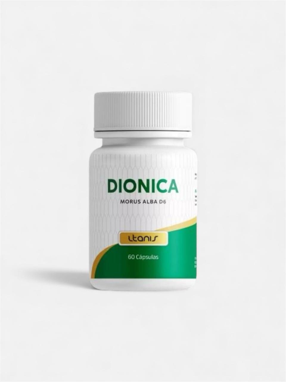 Dionica